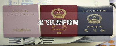 ​坐飞机要护照吗 坐飞机要护照吗云南