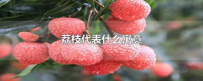 ​荔枝寓意着什么意思 荔枝象征着什么