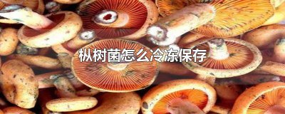 ​枞树菌怎么冷冻保存最好 枞树菌可以冰冻保存吗