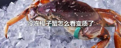 ​冷冻梭子蟹怎么解冻肉质好 梭子蟹熟冻后怎么解冻才好吃