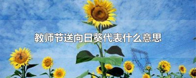 ​送老师向日葵的含义 教师节为什么送向日葵