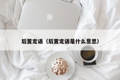 ​后置定语（后置定语是什么意思）