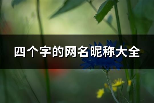 四个字的网名昵称大全(精选479个)