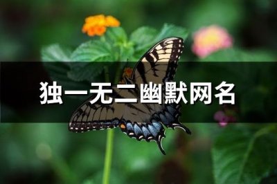 ​独一无二幽默网名(共188个)