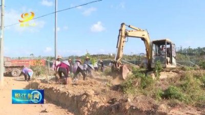 ​实干“百千万” 阳江在发力 | 阳西新墟：南药天冬喜获丰收