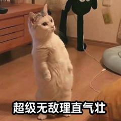 搞笑猫咪表情包精选：超级理直气壮