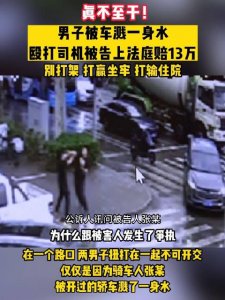 ​男子被车溅一身水，殴打司机被告上法庭！获刑半年赔偿13万