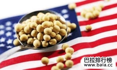 ​世界最大的十大大豆生产国排名