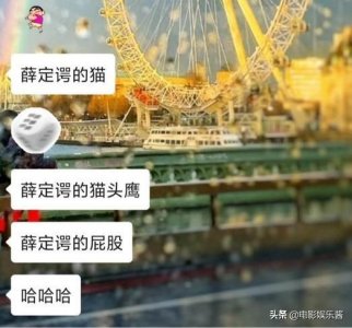 ​被玩坏了的“薛定谔的xx”梗，如何优雅地在日常交流中使用？