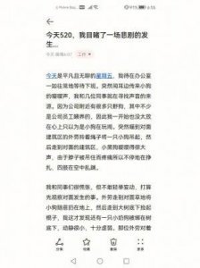 ​丁飞俊的资料简介以及他所经历的事情引起了人们的抵制